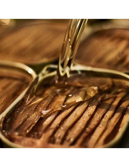 Cantabrian Sea Anchovy Fillets in Olive Oil